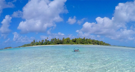 croisière polynésie